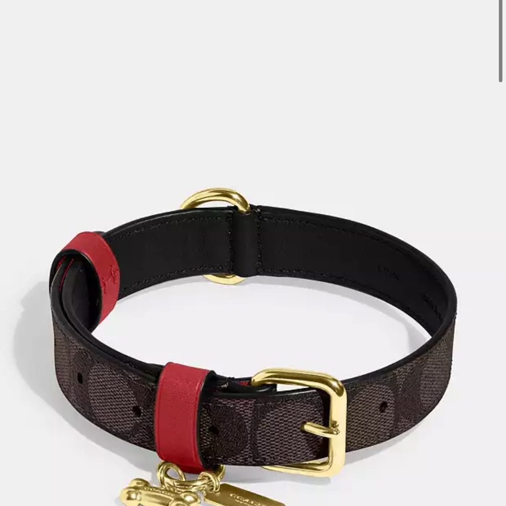 Coach Pet Collar and Leash Set